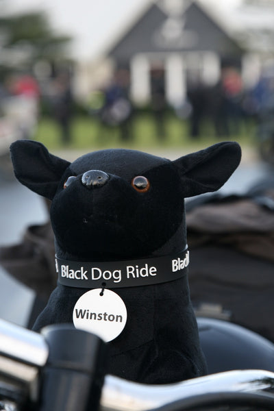 Black Dog Ride Mascot Winston