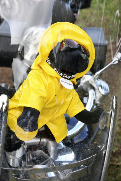 Black Dog Ride Mascot Winston is prepared for riding, in any weather!